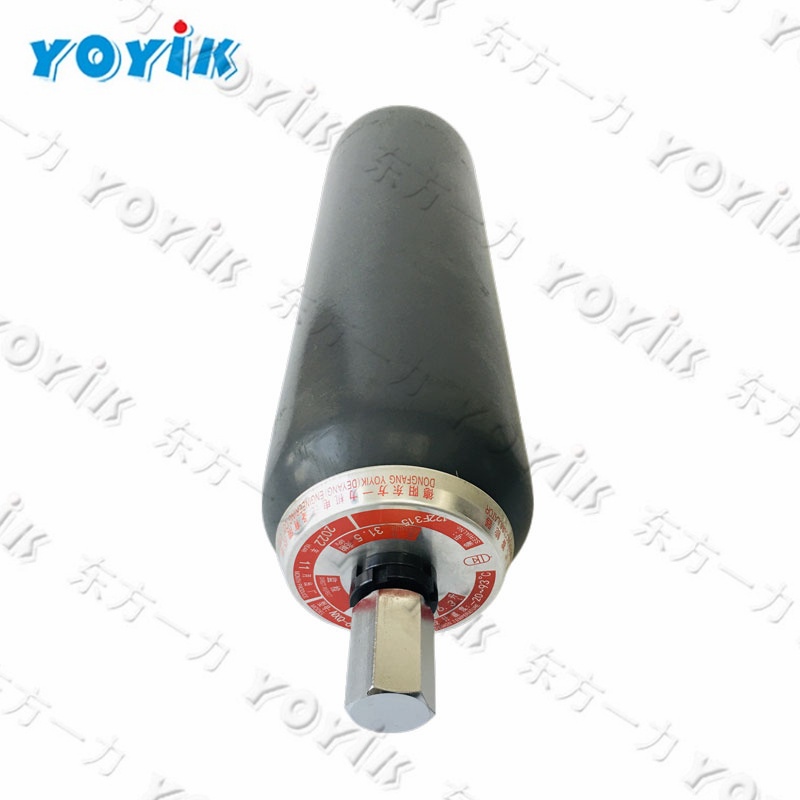 Yoyik supply Rubber bladder NXQ-A-25/31.5-L-EH for power plant