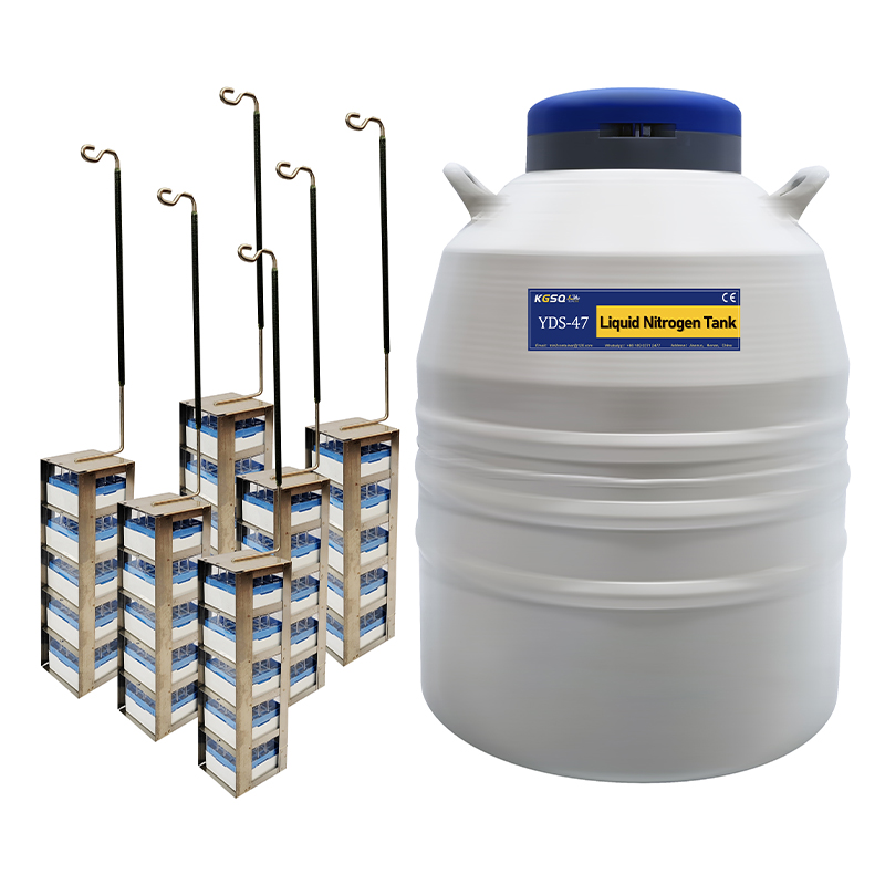 Liquid Nitrogen Tanks for Laboratory Sample Storage