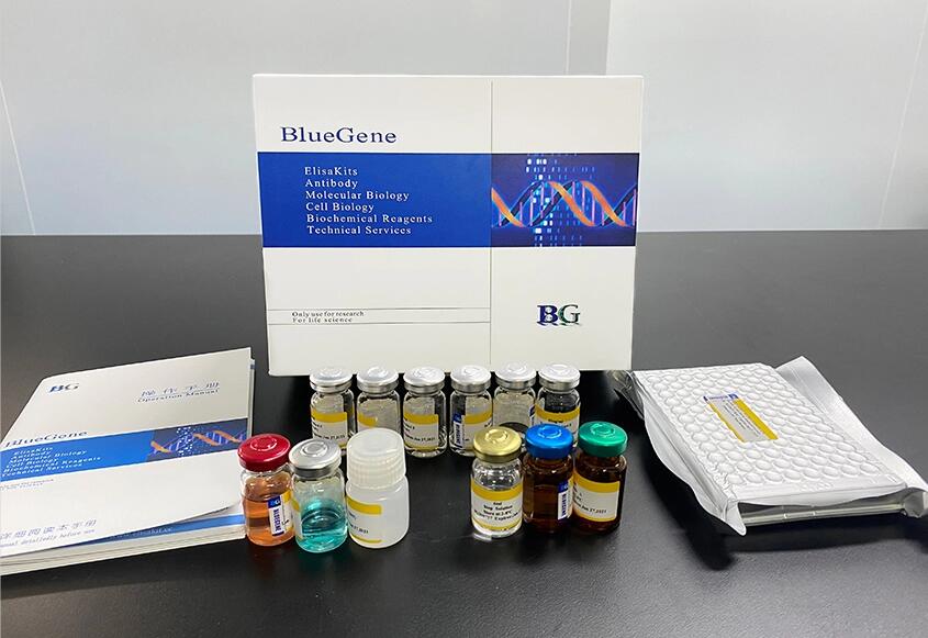 BlueGene Biotech Porcine Total Adiponectin ELISA kit
