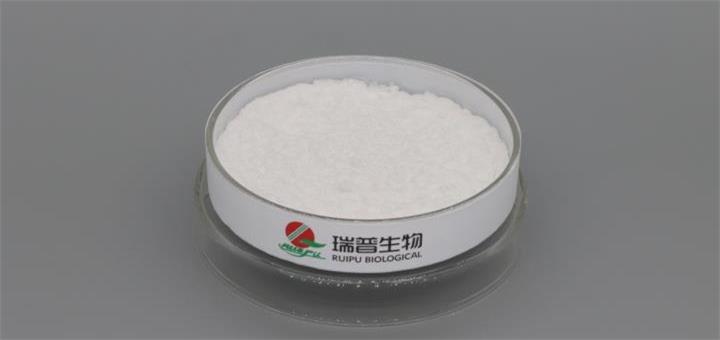 Monosodium Fumarate Supplier