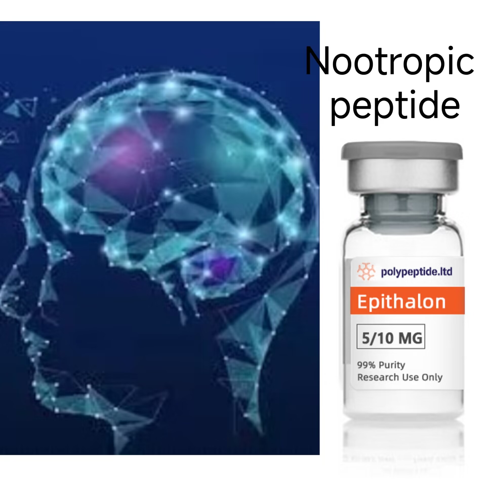 High Quality Nootropic Epithalon Supplier In China