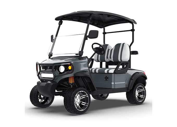 2 Seater Golf Buggy