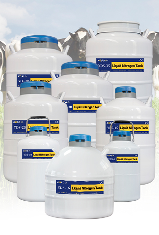阿联酋 KGSQ 实验室细胞罐 储存细胞液氮罐 液氮生物容器