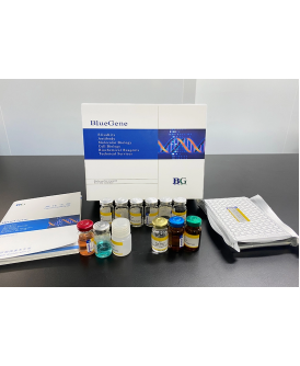 BlueGene Biotech Canine BCL2 Associated X Protein ELISA kit