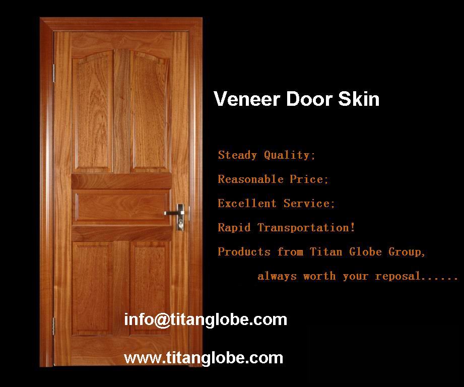 Door Skin