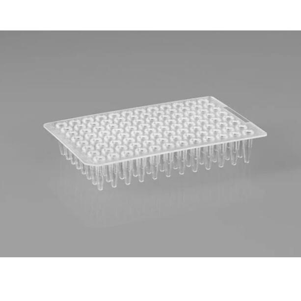 PakGent 40ul 384-Well PCR Plate