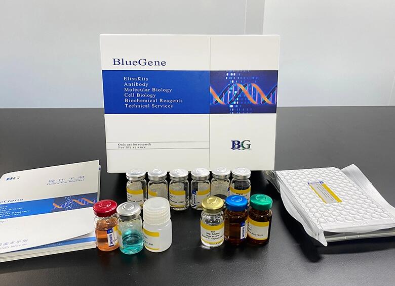 BlueGene Biotech Bovine Cluster Of Differentiation 8 ELISA kit