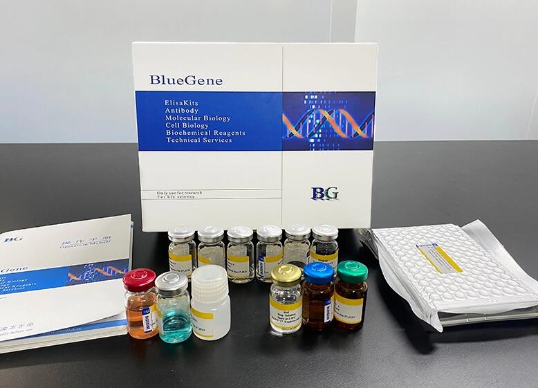 BlueGene Biotech