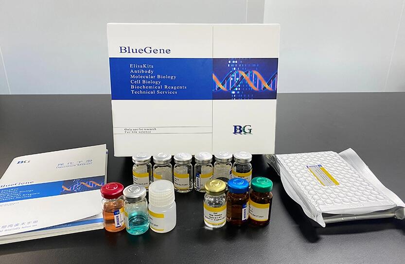 BlueGene Biotech Bovine Decorin ELISA kit