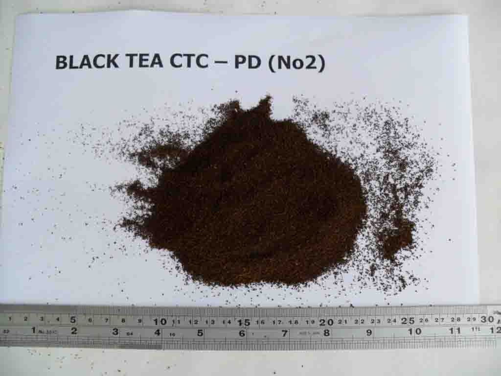 CTC Black tea PD