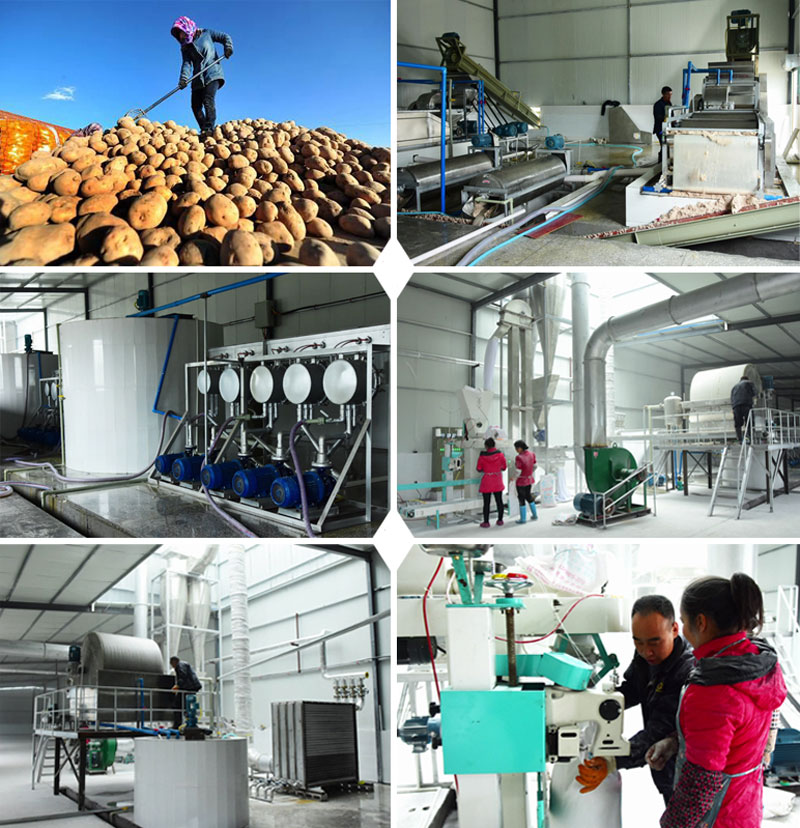 Potato Starch Processing Plant