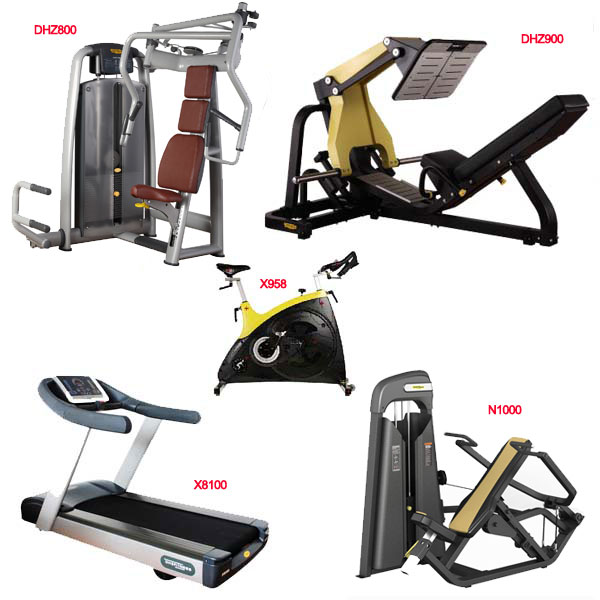 Shandong Dahuzi Fitness Equipment CO., LTD 