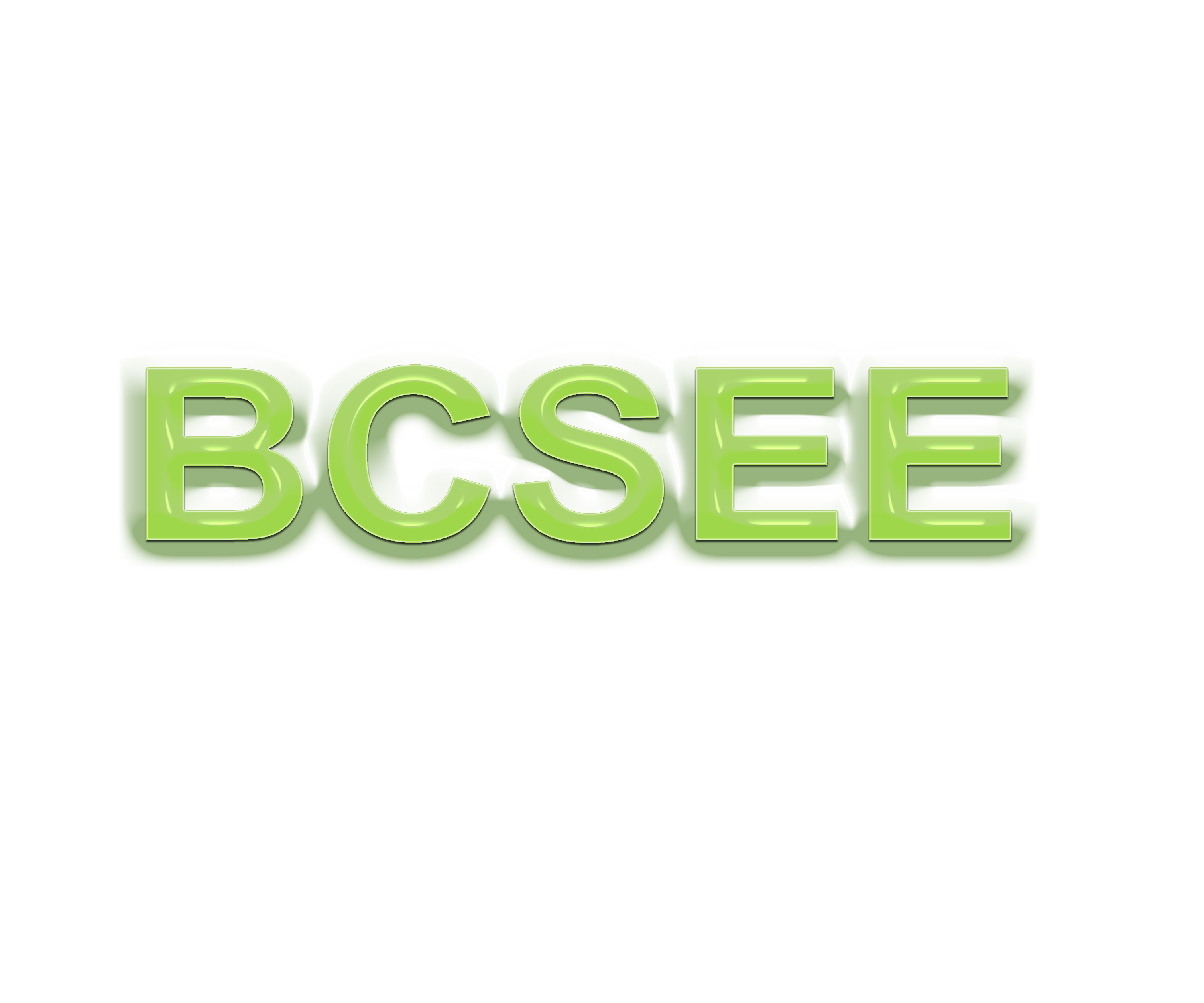BCSEE CCTV