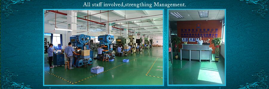 Dongguan Shengjia Hardware Products Co., Ltd 