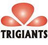 Trigiants Technology Co., Ltd