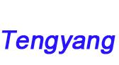 Shanghai Tengyang Industry and Trade Co.Ltd