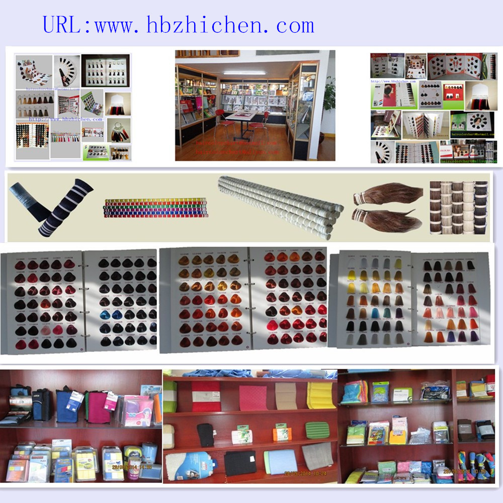 HEBEI ZHICHEN TRADING CO., LTD.