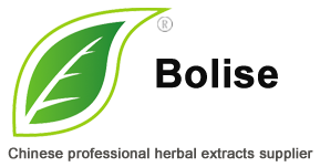 Bolise Co. Limited