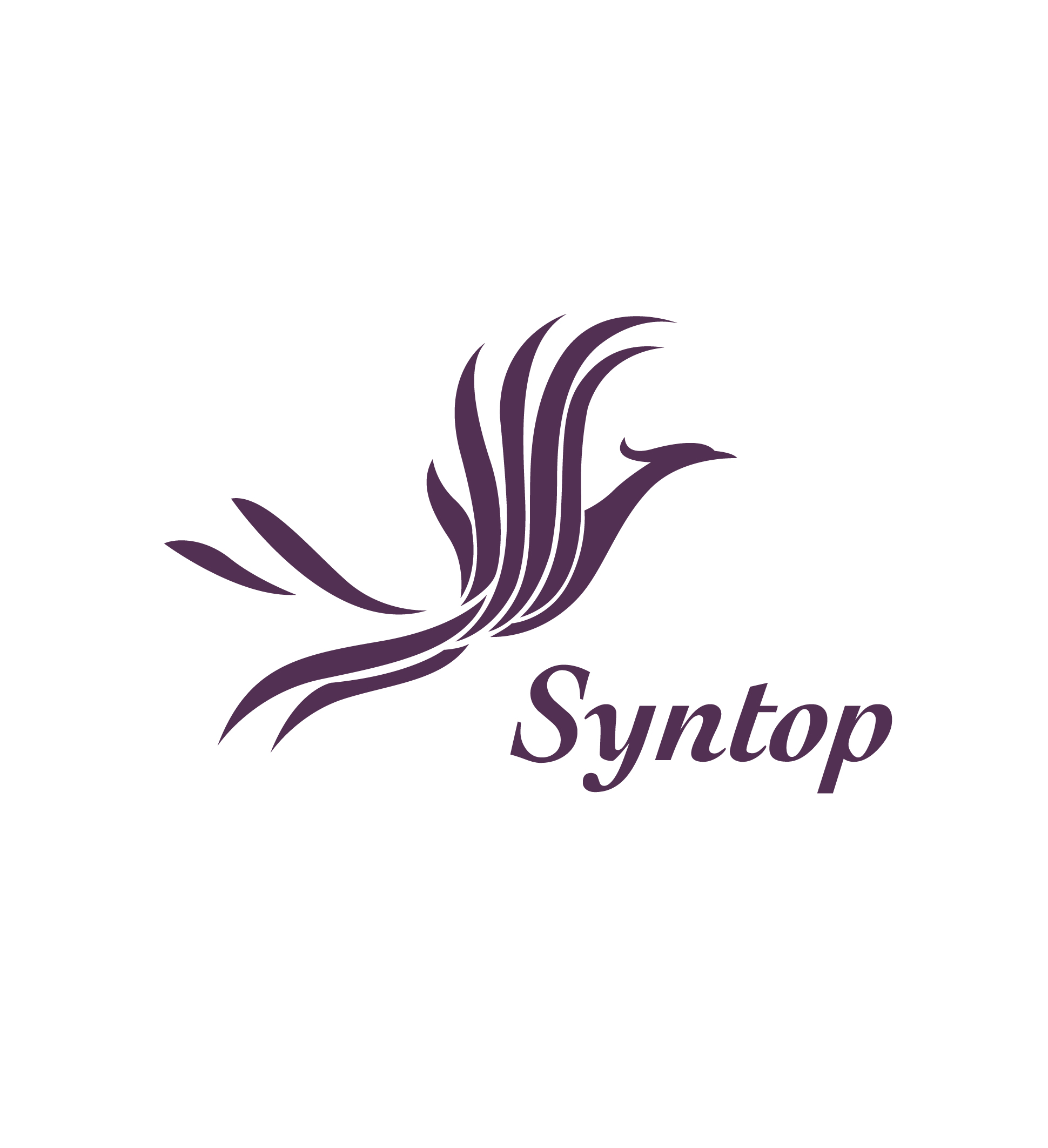 Syntop chemical Co.,Ltd.