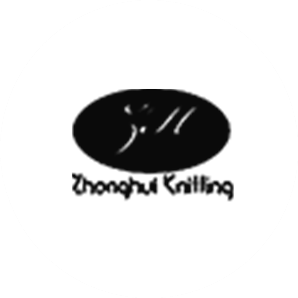 Haining Zhonghui Textile Technology Co., Ltd.