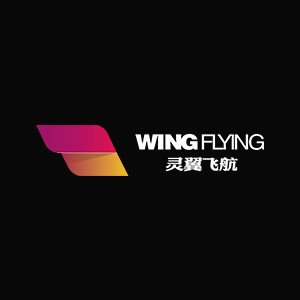 Wing Flying Technologies Co., Ltd