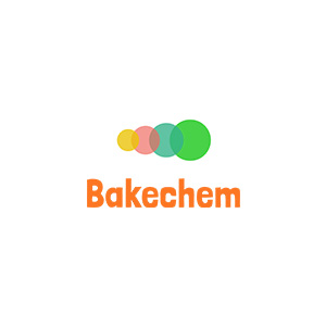 BAKECHEM INTERNATIONAL LIMITED
