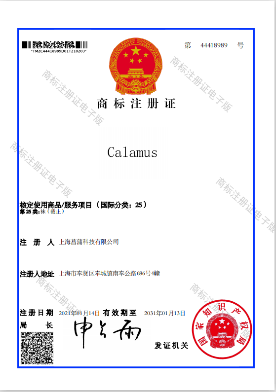 Shanghai CHP Technology Co., Ltd