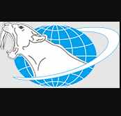 Yueqing Wanya Tools Co., Ltd.