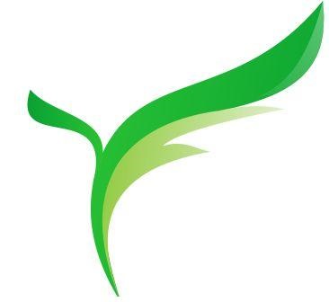 SHIJIAZHUANG YINGFANG TRADE CO.,LTD