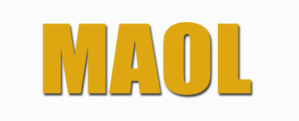 PT Maol