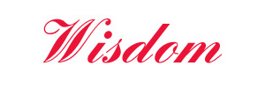 Wisdom Fitness Equipment Co.,Ltd.