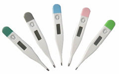  Clinical Digital Thermometer