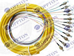 4/6/8/12 color multifiber optical fiber pigtail
