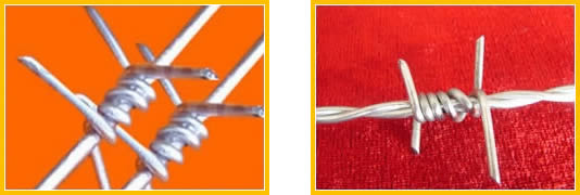 Hot-dipped Galvanized Barbed Wire and Electro Galvanized Barbed Wire