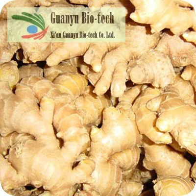 ginger extract 