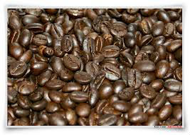 The Original and high quality Luwak Coffee /Civet Coffee from Indonesia 