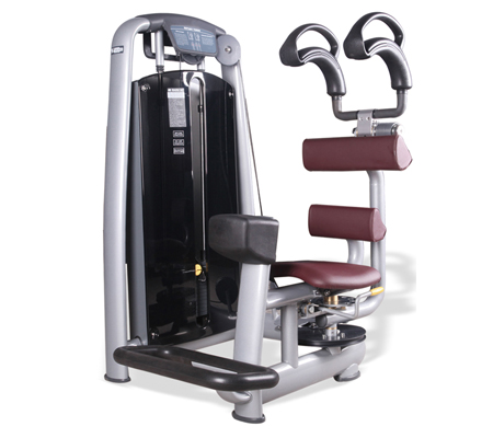 Rotary torso fitness equipment for abdominal oblique muscles