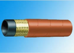 Steam Hose