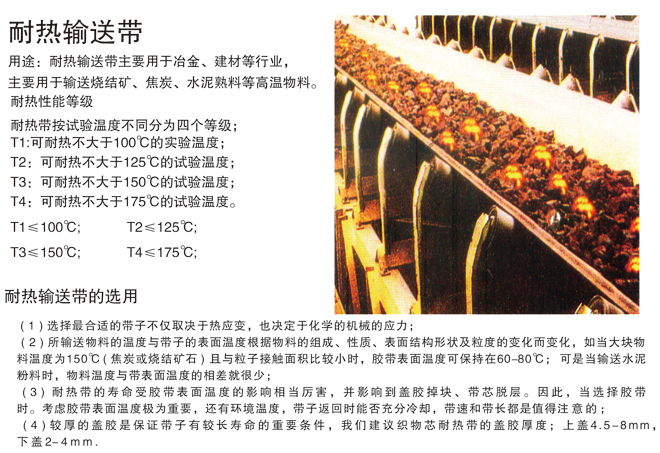 Heat Resistant Conveyor Belt 