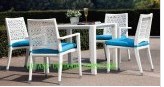 Outdoor Furniture&Dining Set (LY-B105)