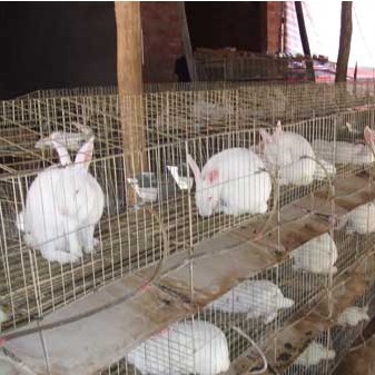 клетка для кроликов Китай