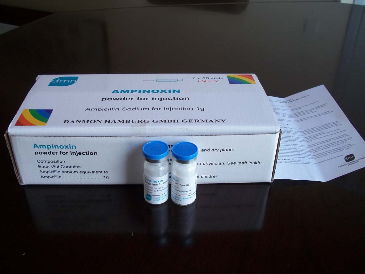 ampicillin for injection