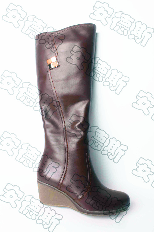 lady's leather boots