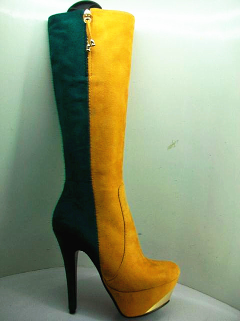lady's fashionable boots