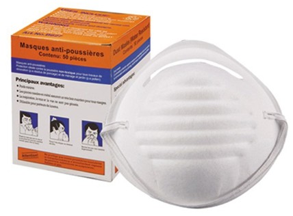 disposable non-woven face mask