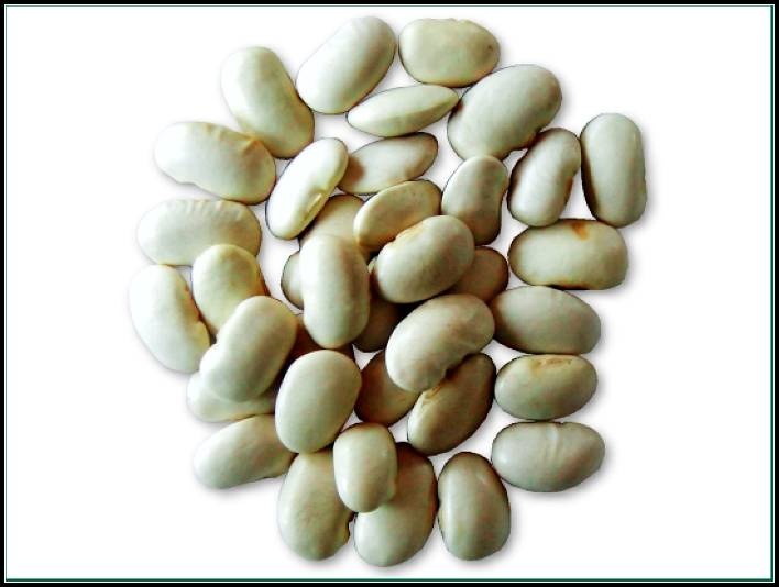 white kidney bean P.E.