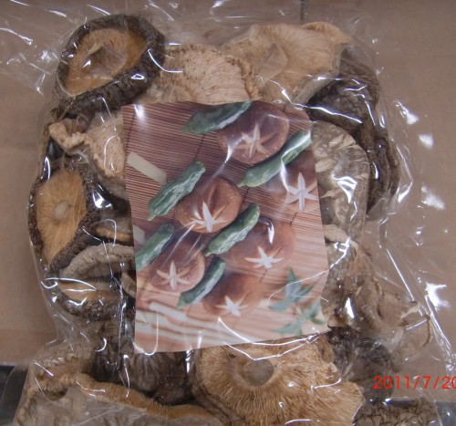 Dried mushroom Shiitaki