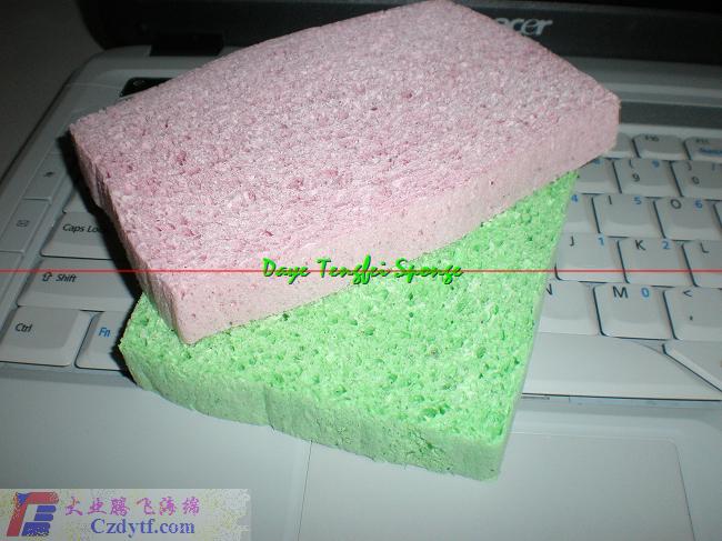 cellular clean sponge