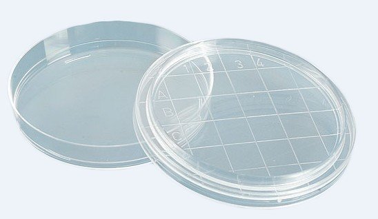 Laboratory Plasticware/Petri Dishes Moulds