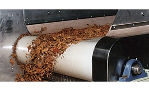 Habasit P line tobacco conveyor and processing belts PNB-5EYWX